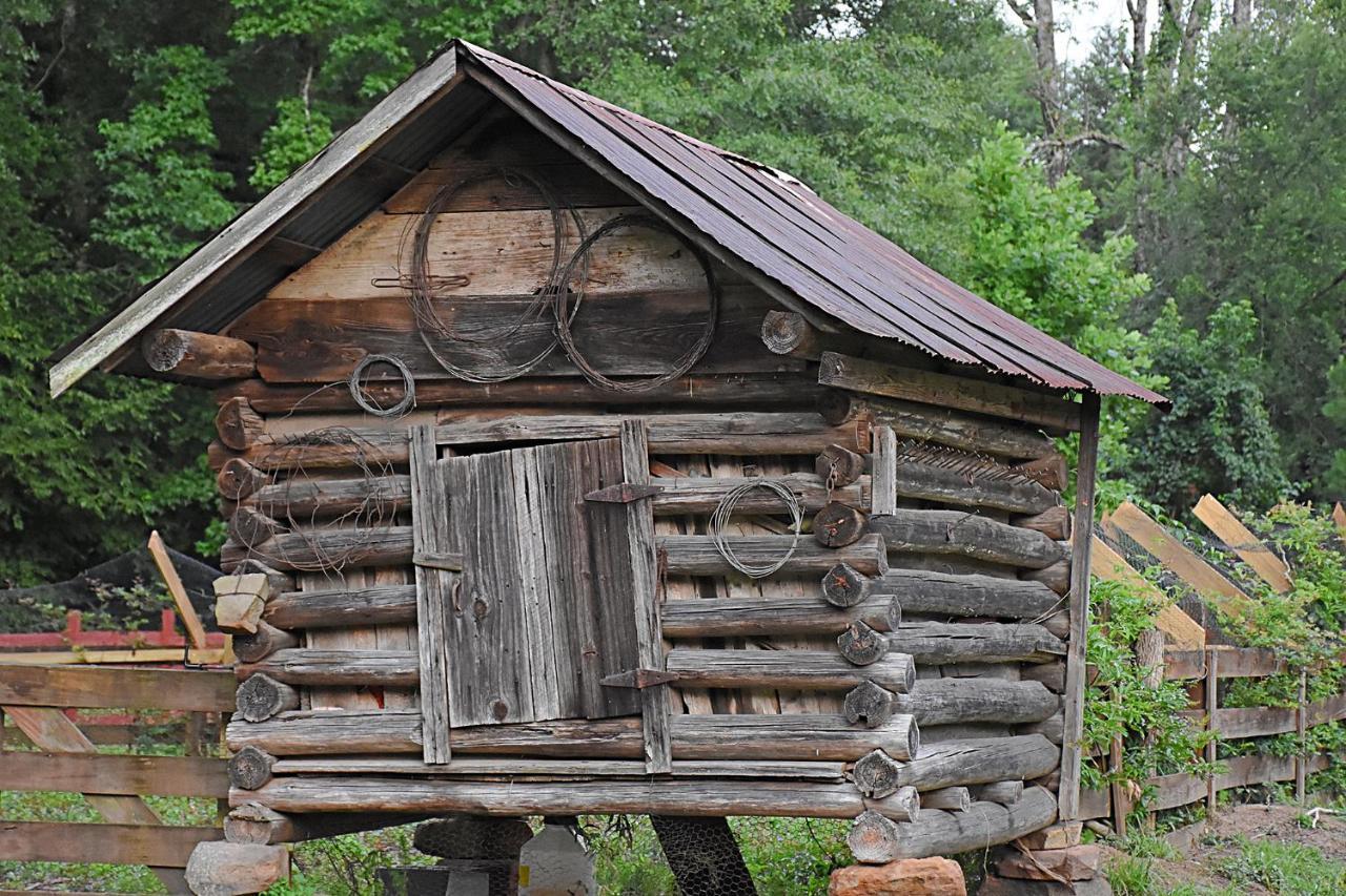 Coulter Farmstead Bed and Breakfast Washington Εξωτερικό φωτογραφία