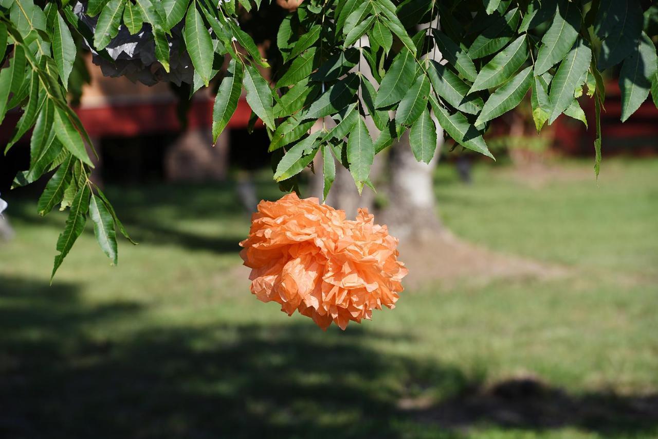 Coulter Farmstead Bed and Breakfast Washington Εξωτερικό φωτογραφία